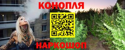 прущие крисы Бердск